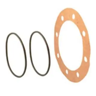 Falk Lifelign 0926910 FAL 1015G Seal Ring Viton