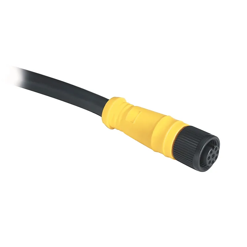 Rockwell Automation 889D-F8AB-10 DC Micro M12 Female Straight 8-Pin PVC Cable 10 Meter Replacement MPN