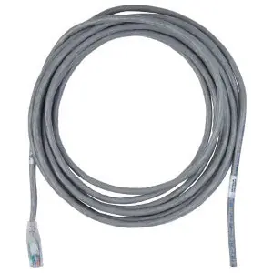 Belden C631308035 Pigtail-B CAT6+ CMR Grey 35FT