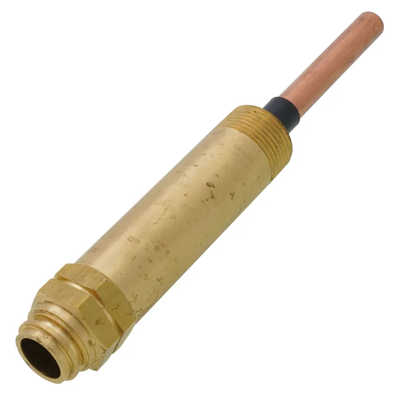 Hydrolevel 48-206 HydroStat EW-206 3/4 NPT Electro-Well w/ Long Nut and Standard Insertion Length for Buderus Units