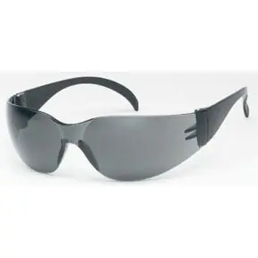 EMC 1715G Safety Glasses Gray Lens Universal