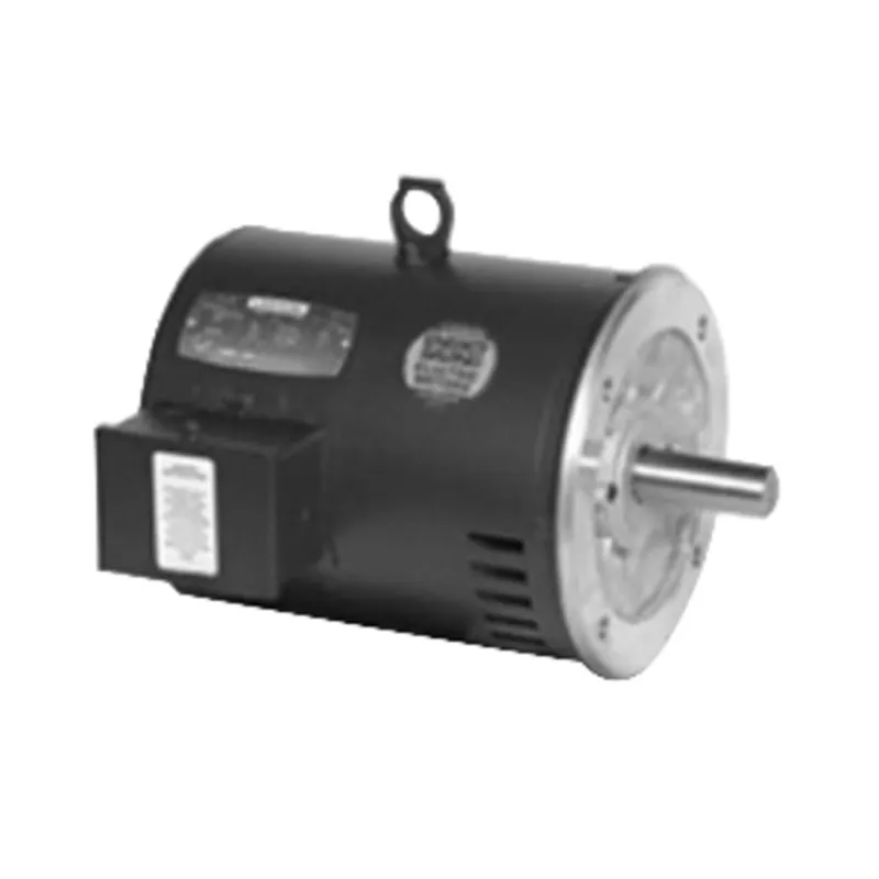 LEESON LM32656 Ultimate e AC Motor 75 hp 3 Phase