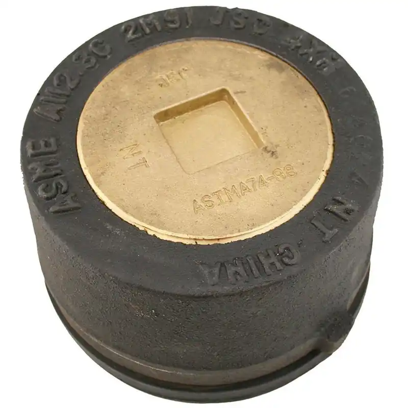Jones Stephens C36116 6 in. Push Cast Iron Cleanout with Plug