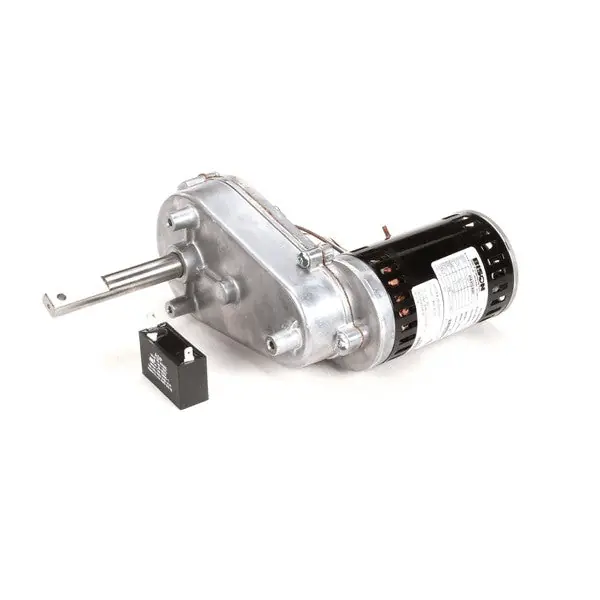 MOTOR 115V DBL D SHAFT 20003651 for Multiplex