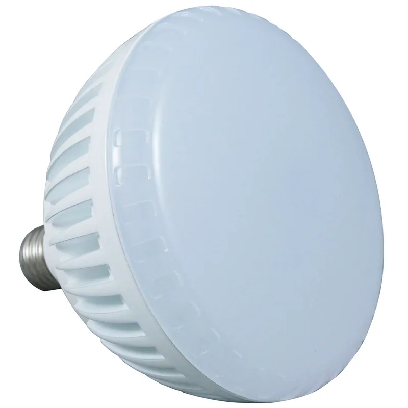 J & J ELECTRONICS LPL-PR2-CW-120 Replacement LED Pool Light Bulb 28W 115V