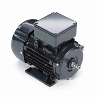 Marathon Electric Motors R301 0.25 HP General Purpose 3 Phase Motor