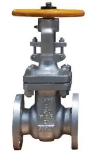 Warren Alloy 31155C8 Gate Valve 150# CS FLGD 31155C8