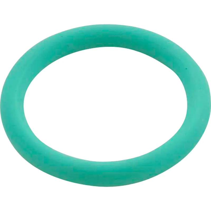 Speck Pumps 2923541229 O-Ring Shaft for Speck 94/21-80 All Models