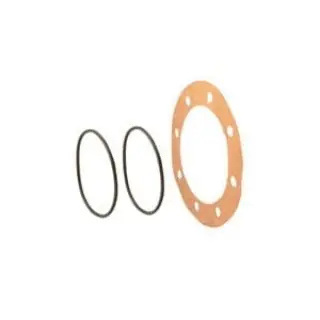 Falk 0785321 FAL G Series Exposed Bolt Seal and Gasket Kit