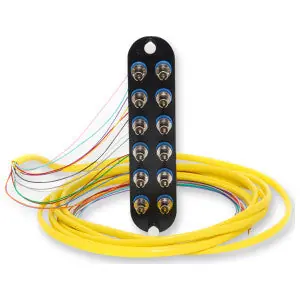 Corning CCH-CP12-6T-P03RH Closet Connector Housing Panels ST 12 Strand Singlemode (OS2) Blue 1 per Package ST Compatible Ceramic